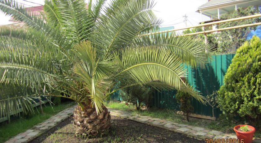 Гостиница Милания Адлер-10