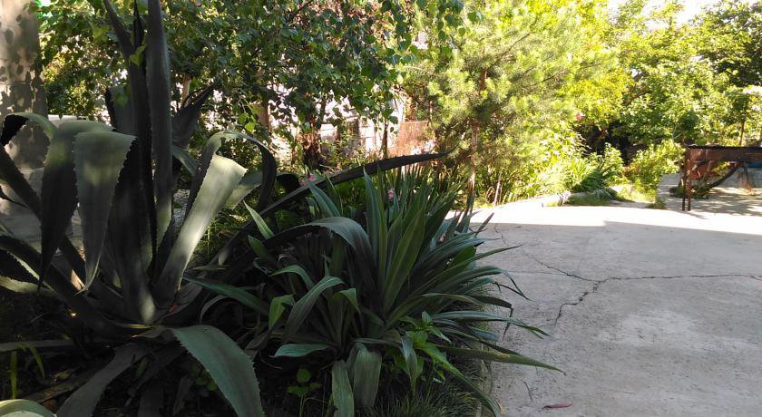 Гостиница Милания Адлер-18