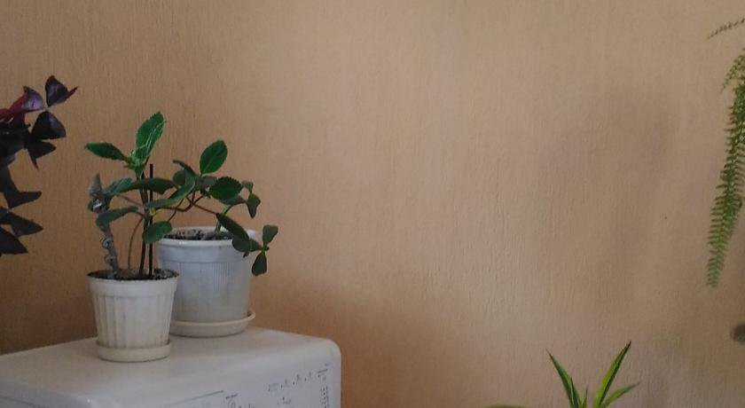 Гостиница Милания Адлер-45