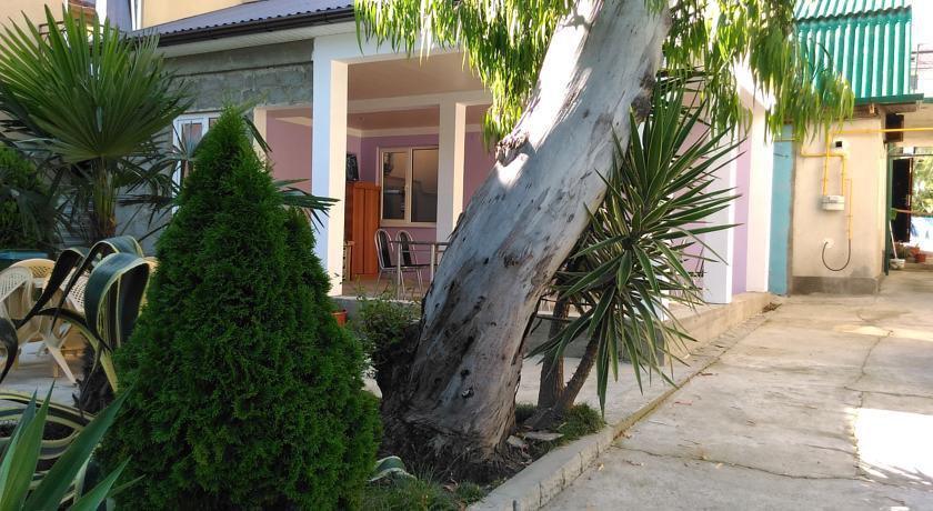 Гостиница Милания Адлер-11