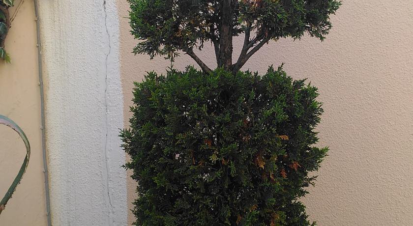 Гостиница Милания Адлер-32